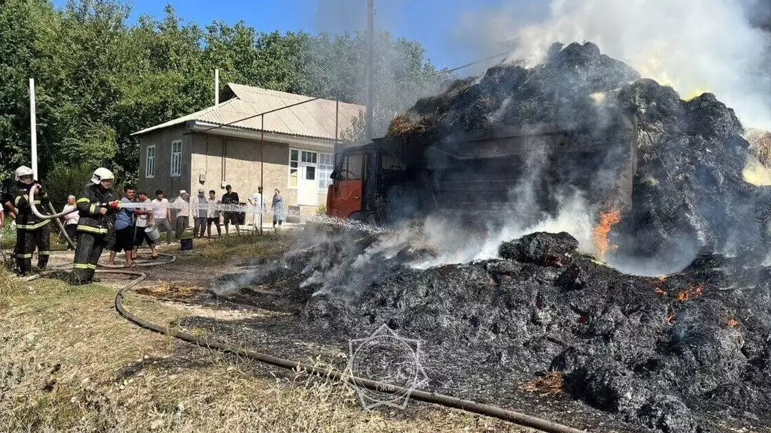 Түркістан облысында шөп тиелген көлік жалынға оранды