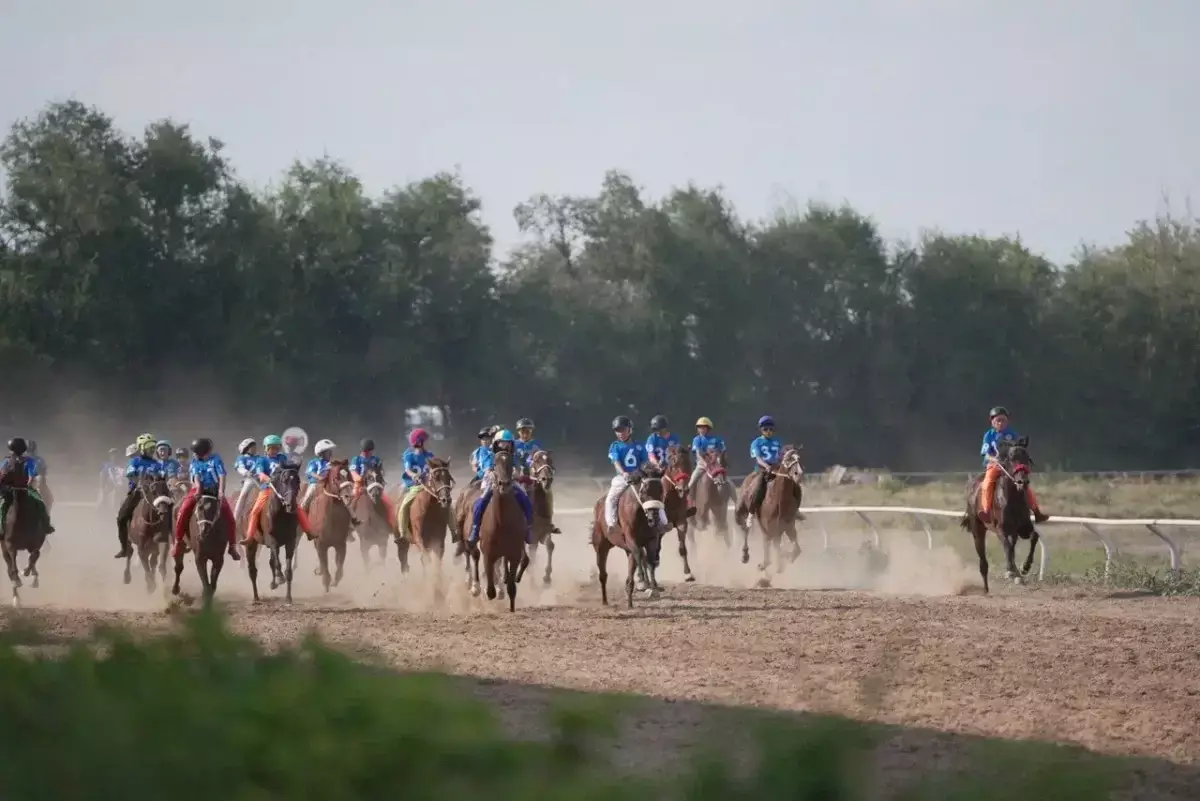 Көшпенділер ойындарындағы бәйгеге шабатын аттар белгілі болды