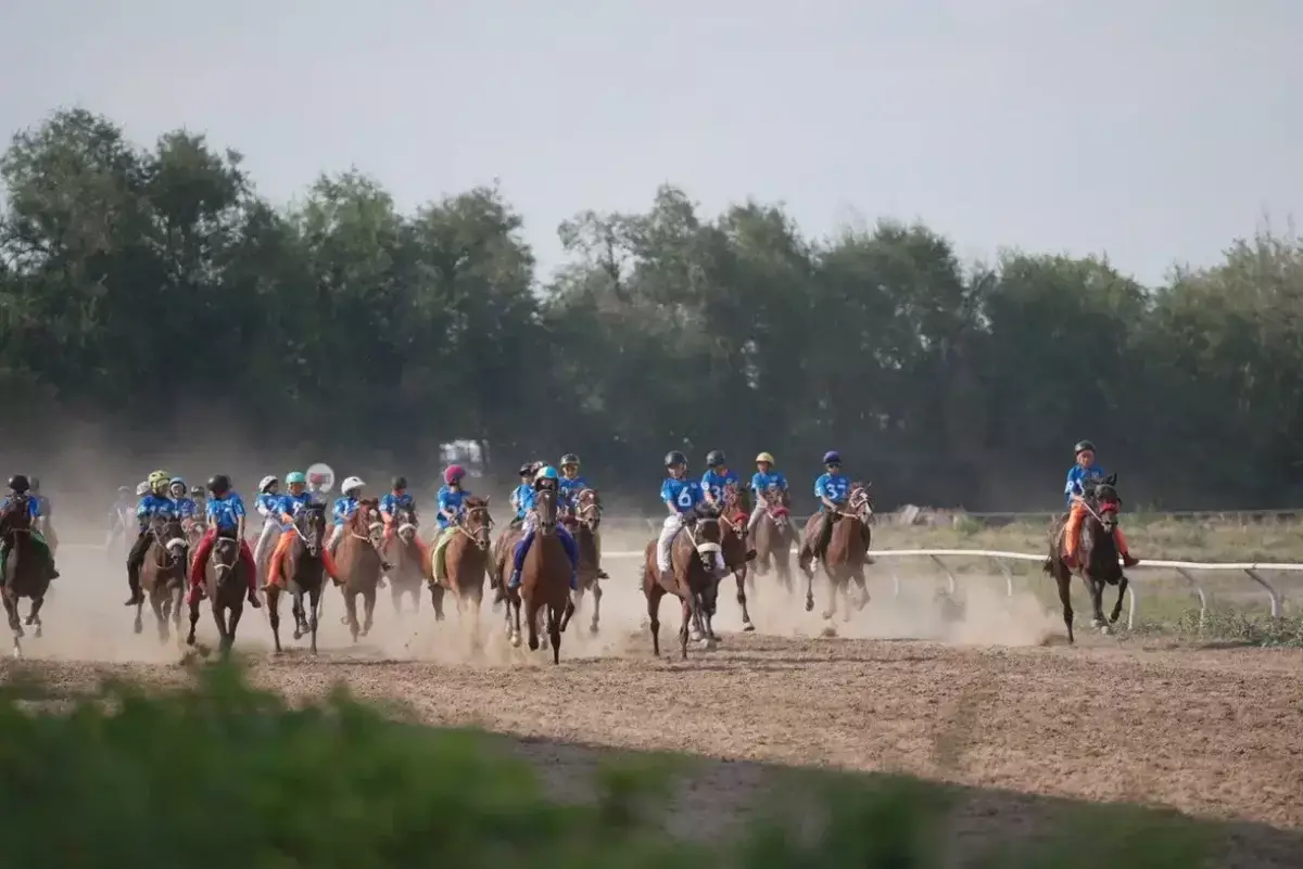 Дүниежүзілік көшпенділер ойындарындағы бәйгеге шабатын аттар белгілі болды