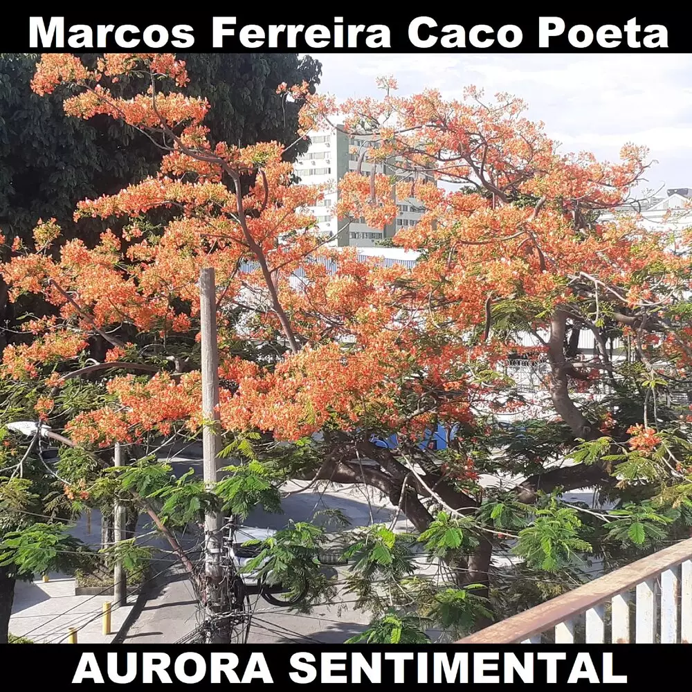 Новый альбом Marcos Ferreira Caco Poeta - Aurora Sentimental