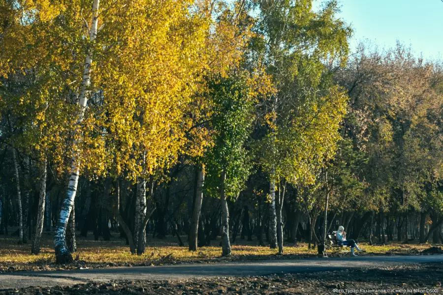 Синоптиктер күзде ауа райы қандай болатынын айтты