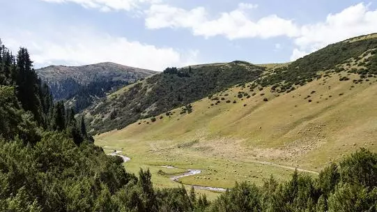 Іле Алатау ытауларында сел жүру қаупі жарияланды