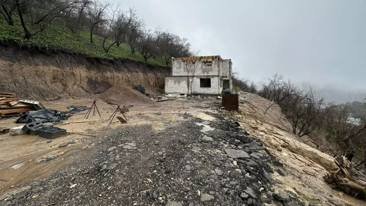 Алматыда лай көшкіні жүрген аймаққа 1,5 млрд теңге бөлінді