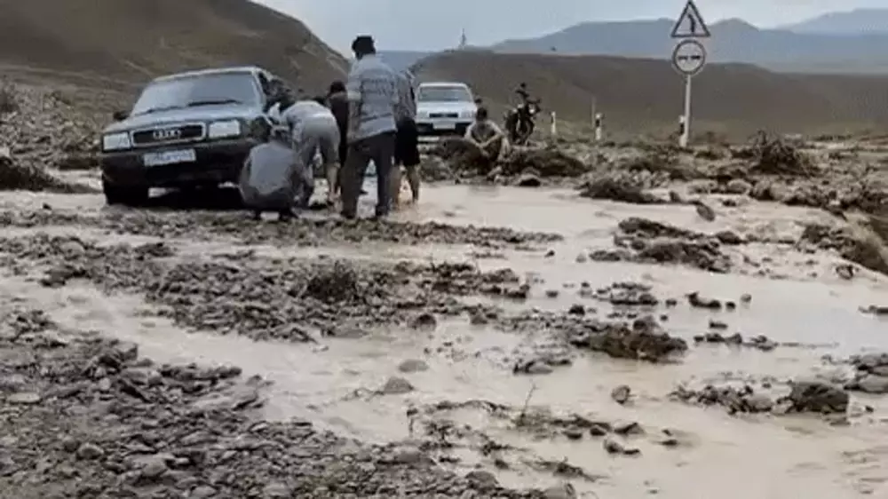 Склоновой поток воды с гор размыл дорогу и затопил дворы в Кегене: видео