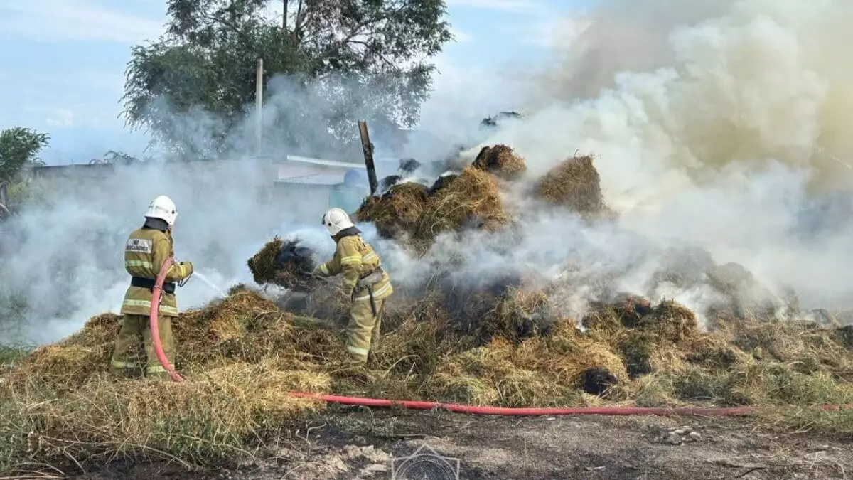 Зайсан ауданында 6 тоннаға жуық шөп өртенді