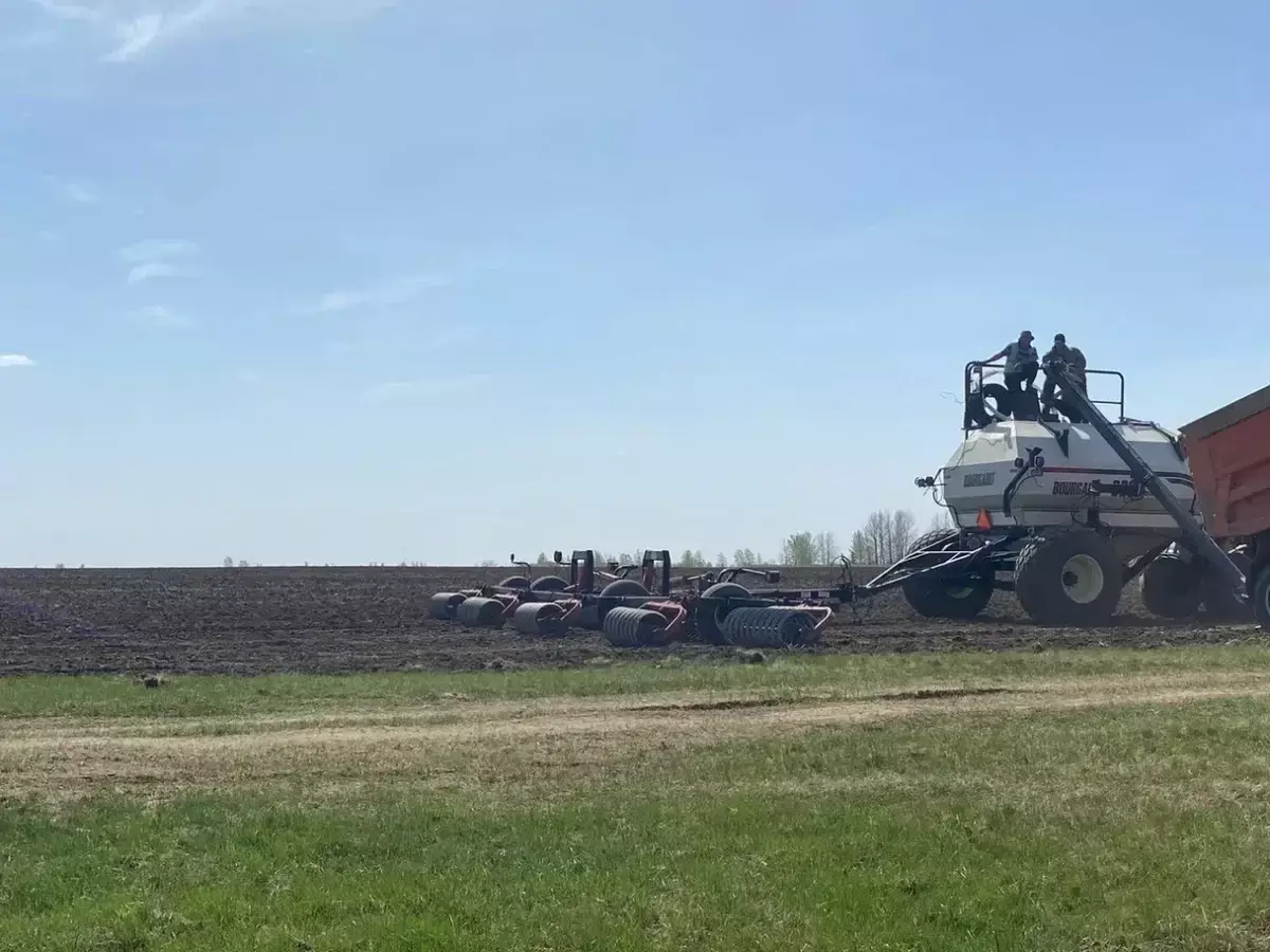 В Казахстане началось страхование посевов от засухи