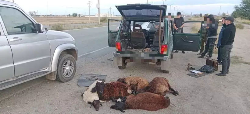 Группу скотокрадов задержали на въезде в Семей