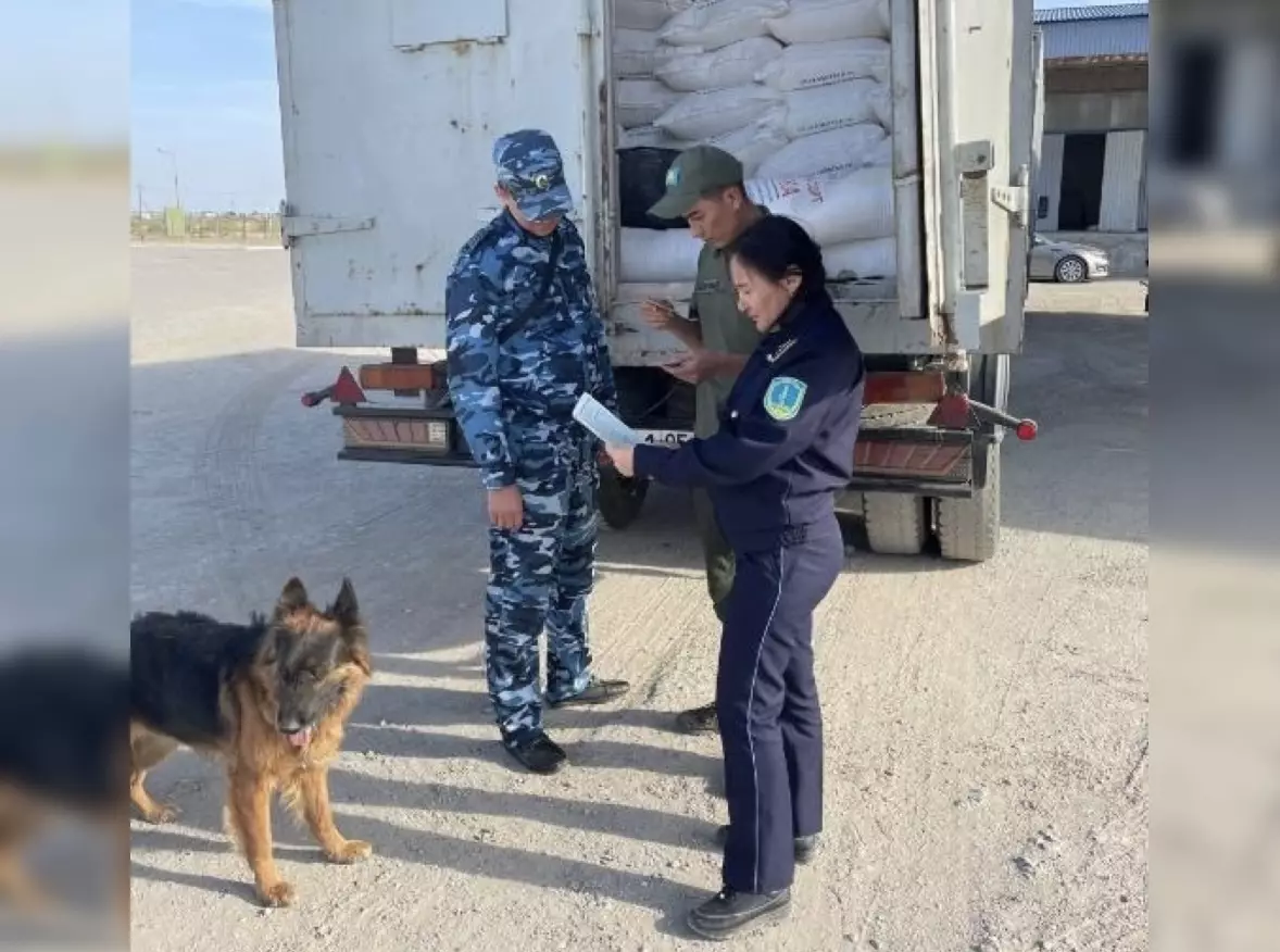 Около 1 тыс. нарушений выявили при импорте в Казахстане