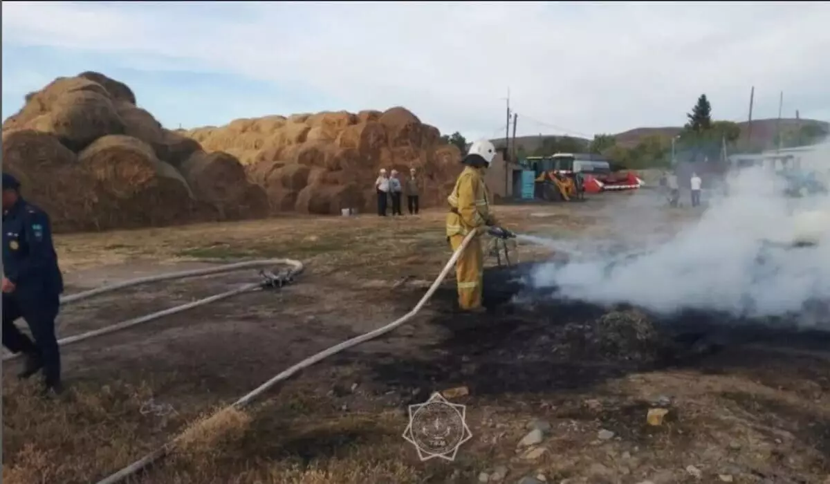 Дети спалили 11 тонн сена в ВКО