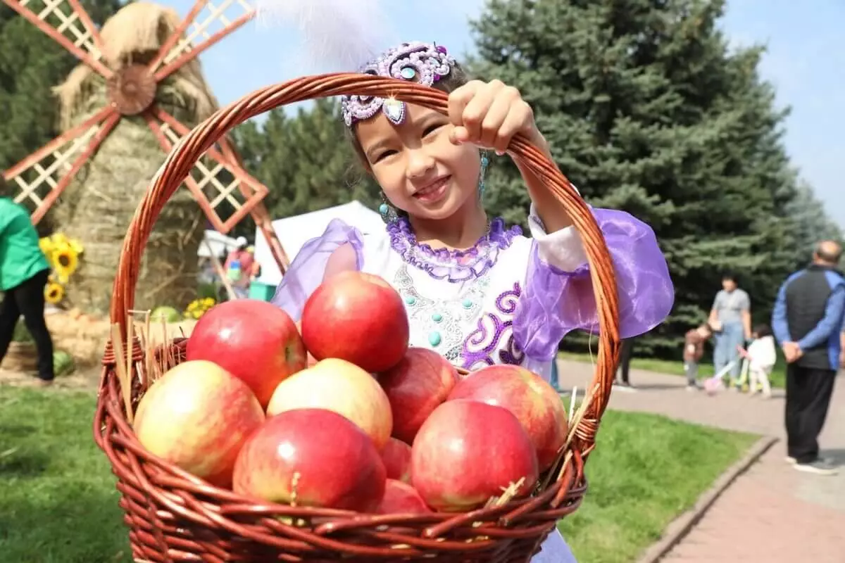 130 тонна алма және Шапито циркі: Алматыда Apple Fest-2024 қалай өтеді