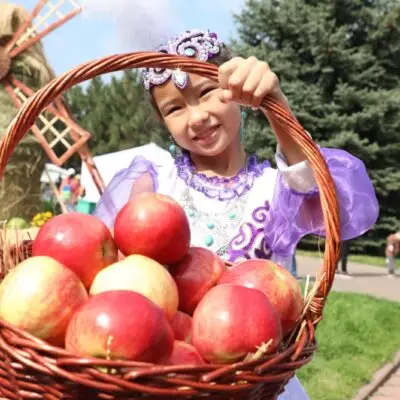 Apple Fest-2024: Нiro и Captown, 130 тонн яблок, 1 700 литров яблочного компота и цирк шапито