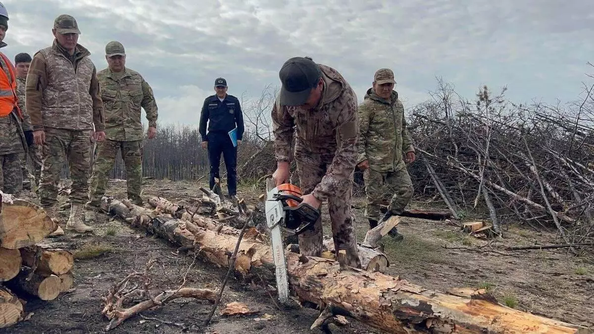 Экология министрі орман өрті жиі тіркелетін Абай облысында жүр