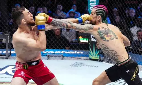 Видео полного боя Шон О’Мэлли — Мераб Двалишвили за титул на UFC 306