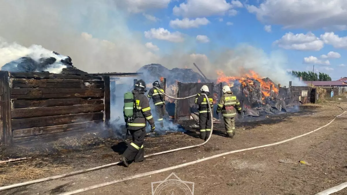 Горящее сено потушили в области Улытау