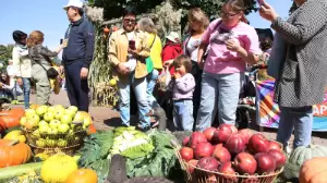 Apple Fest: Алматының алмалары мен ерекше жетістіктері мерекесі