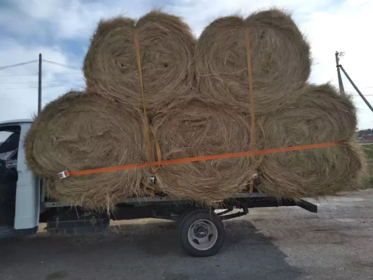 Енді көмір мен шөпті жәрмеңкеден сатып алуға болады