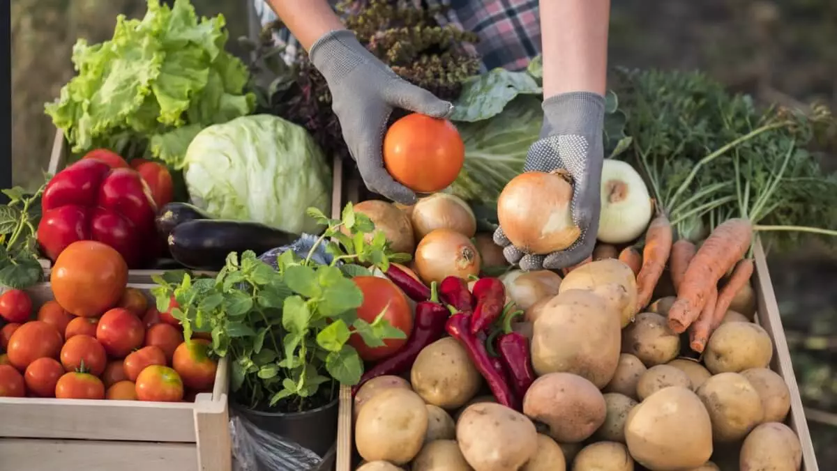 Сельскохозярмарки в Астане: какие регионы первыми представят свою продукцию