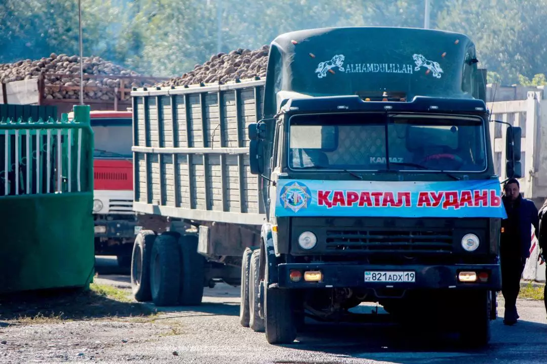 К переработке урожая сахарной свеклы  приступили в области Жетісу