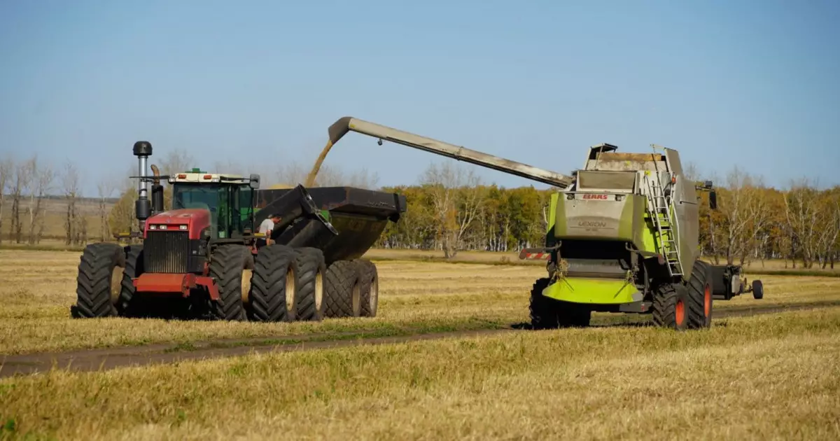   Ақмоладағы ірі ауыл шаруашылығы кәсіпорындарының біріне қауіп төніп тұр   