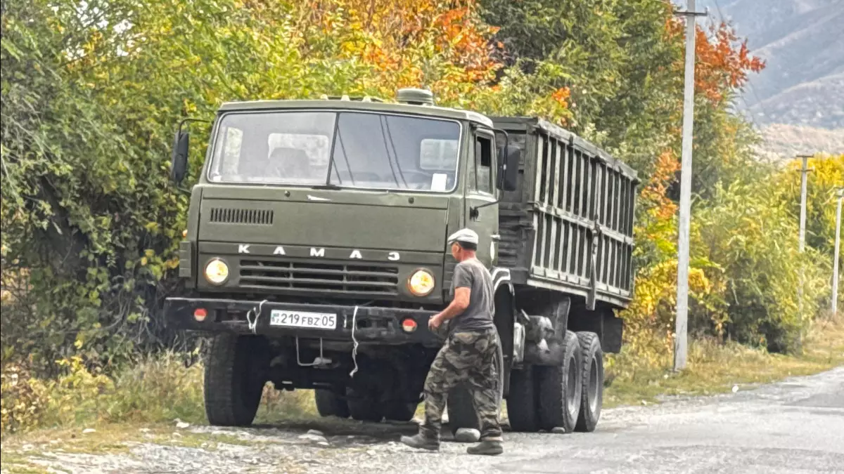 Жетісуда жүгерішілер жайы мәз емес