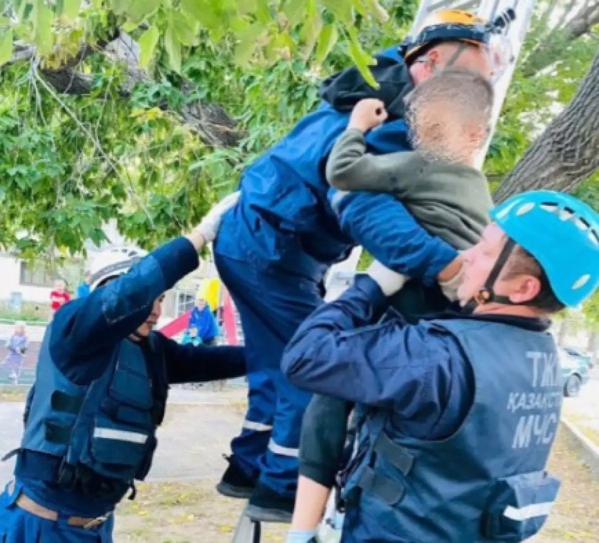 Ребенок забрался на дерево и не смог слезть в Павлодаре