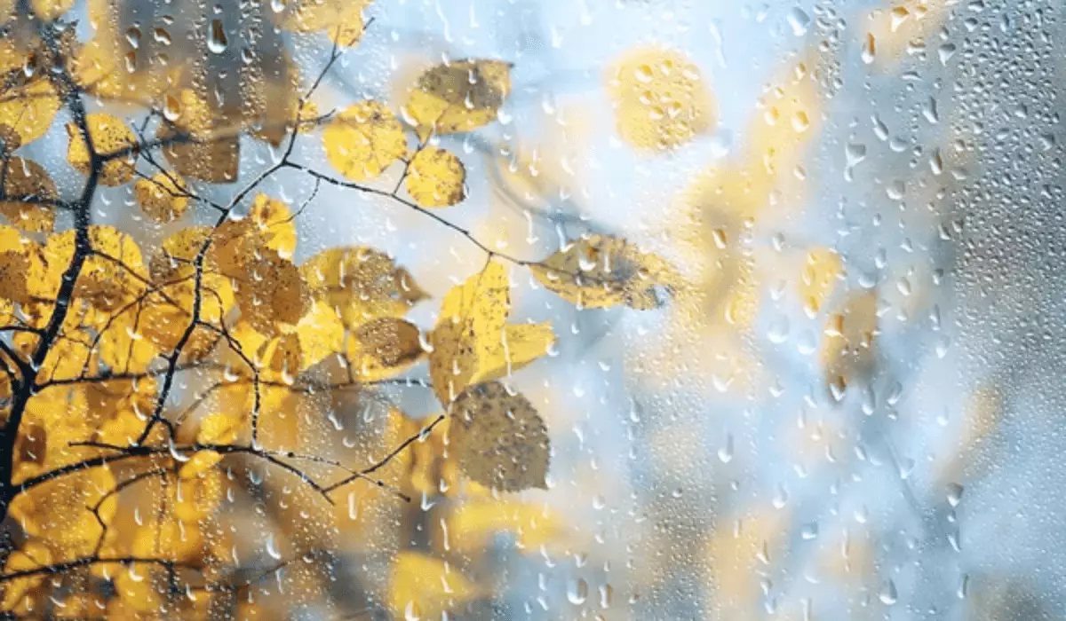 Еліміздің солтүстік және шығыс өңірлерінде ауа температурасы төмендеп, күн суытады