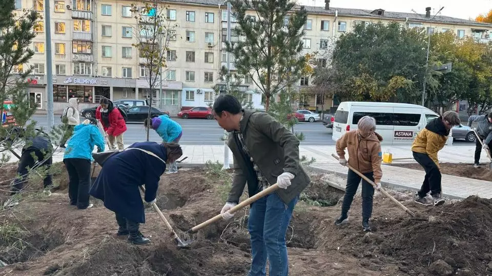 «Таза Қазақстан»: елордадағы Сарыарқа ауданына ағаштар мен бұталар отырғызылды