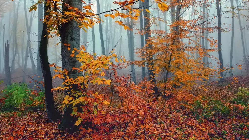 Қар аралас жаңбыр, бұршақ: Қазақстанда бүгін ауа райы қандай болады?