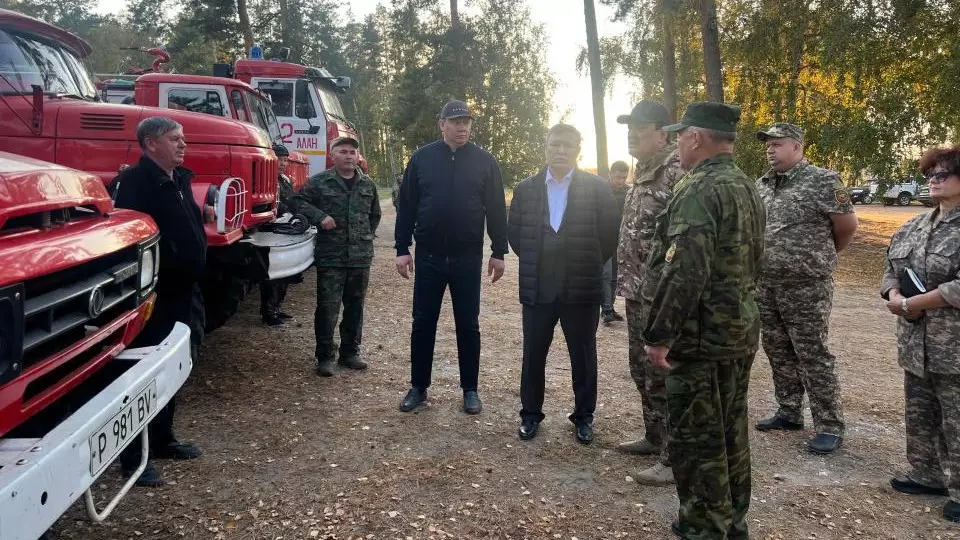 Өртен зардап шеккен орман алаңында ағаш кесу жұмыстары жүргізілуде