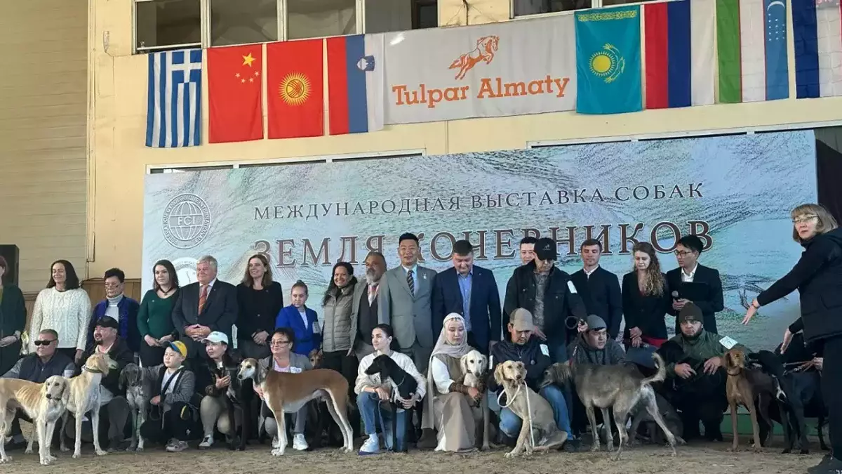 Көшпенділер даласы: Алматыда ит тұқымдарына арналған көрме ұйымдастырылды