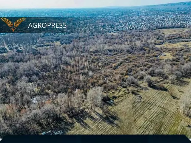 Земли парка Ардагерлер в Талдыкоргане вернули государству