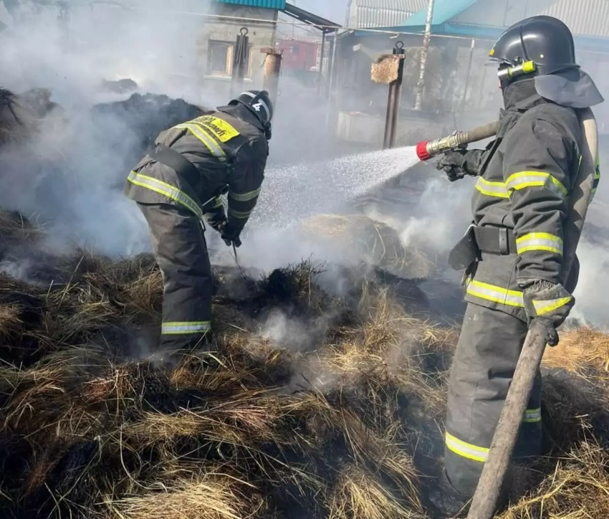 Корову и собаку спасли из крупного пожара в ЗКО