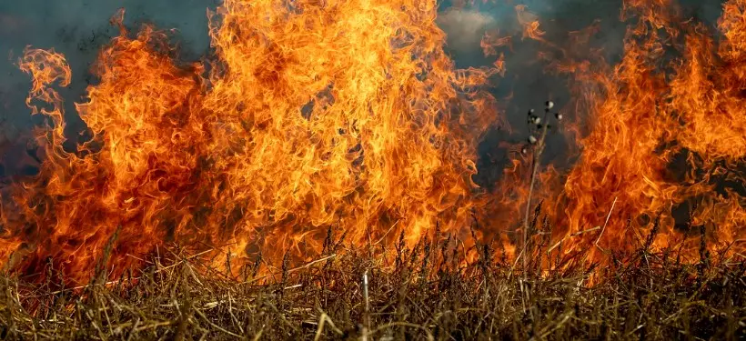 Эвакуация сельчан и пострадавшие – крупный пожар бушует на границе Карагандинской и Павлодарской областей