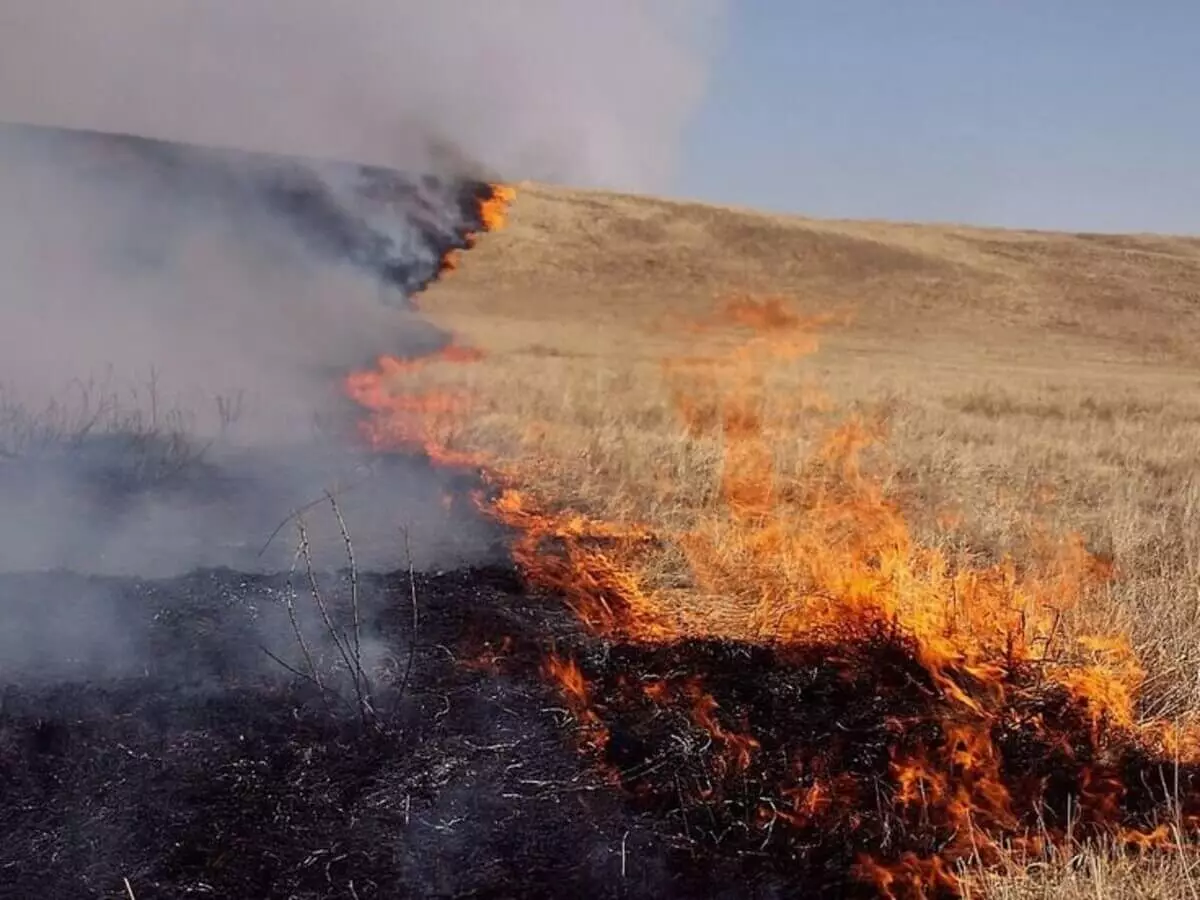 Қоянды ауылынан басталған өрт салдарынан төрт адамды күйік шалды