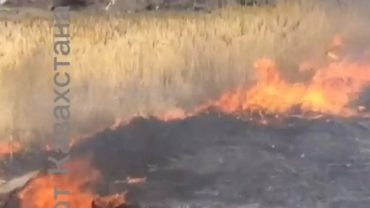 Қарағанды облысында кұрғақ шөп өртеніп, төрт адамды күйік шалды