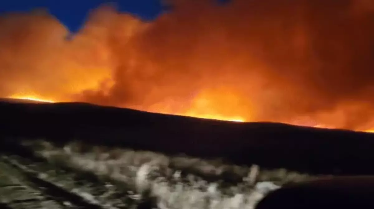 Павлодар облысындағы өртті сөндіруге 600 адам, 4 тікұшақ жұмылдырылды