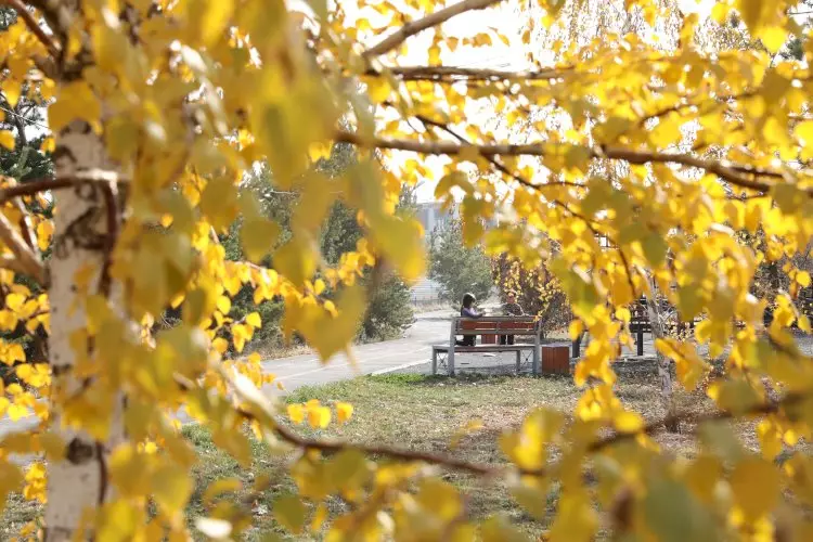 Еліміздің батысында ауа райы күрт өзгереді