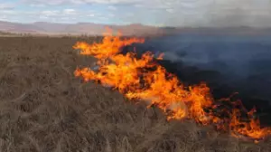 Жоғары өрт қаупіне байланысты еліміздің бірқатар өңірінде ескерту жасалды