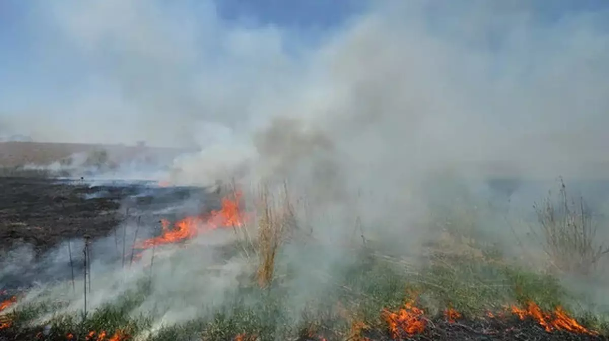 Қарағанды облысы: Өртпен әлі күресіп жатыр, бір адамды күйік шалды