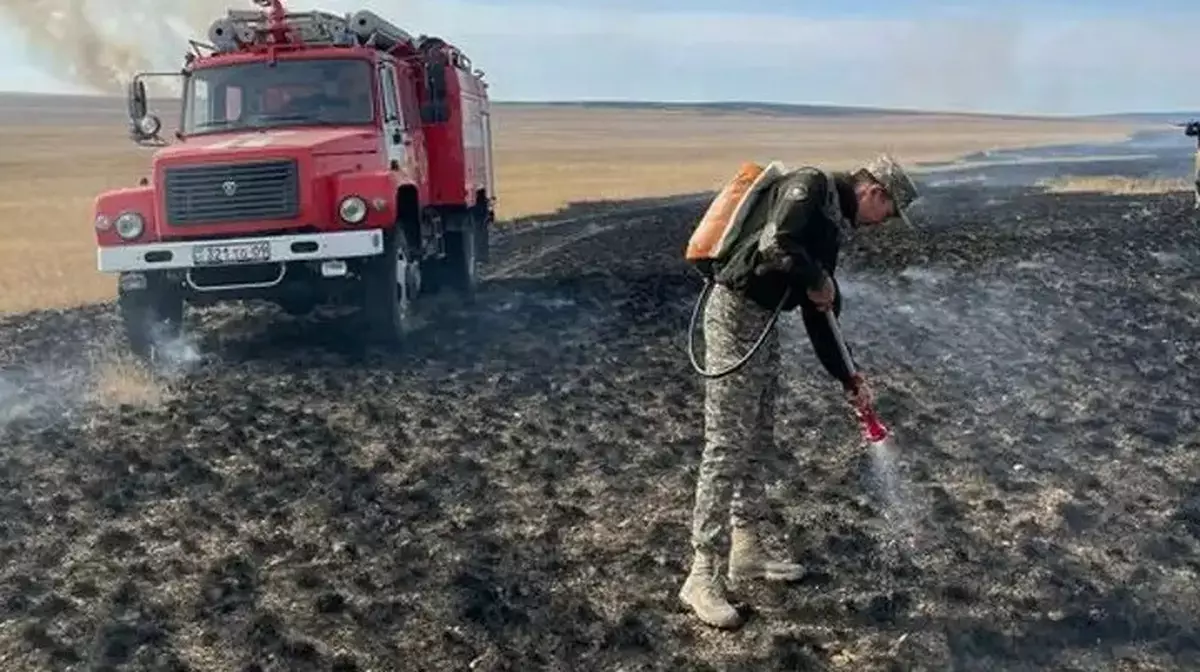 В Казахстане ликвидировали крупный лесной пожар