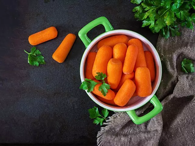 Цех по выпуску мини-моркови Baby Carrots построят в Алматы