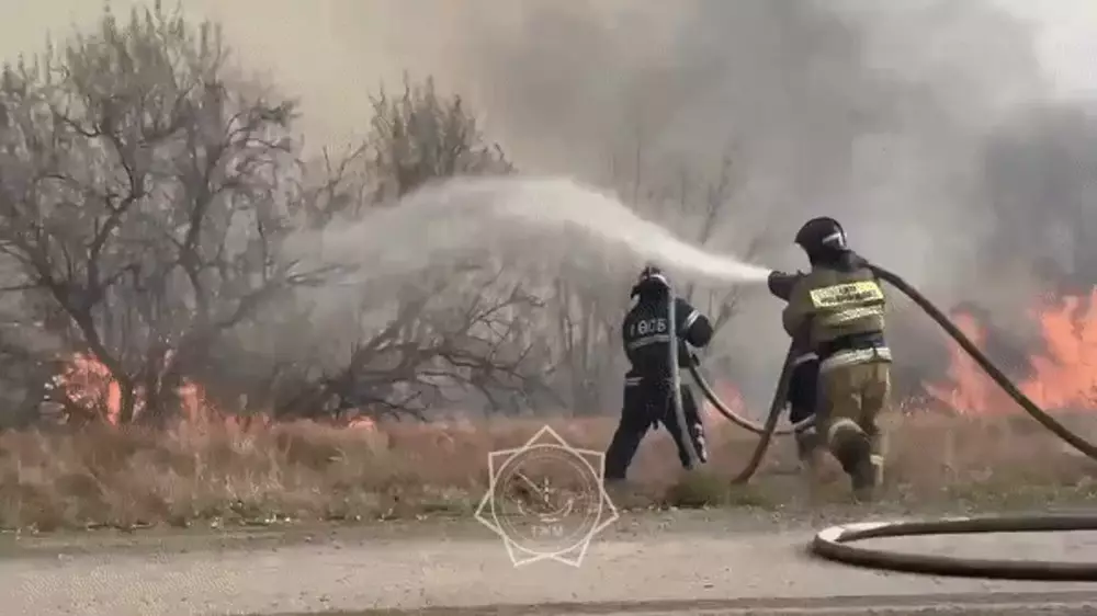 Огонь возле реки Сазда в Актобе подобрался к жилым постройкам: видео