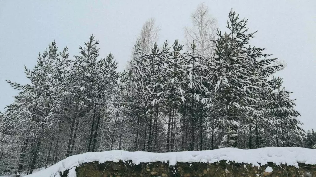 Погода в Астане и Алматы в ближайшие три дня