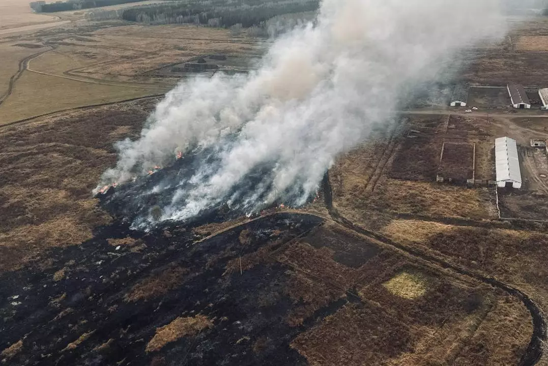 Природные пожары возникли сразу в пяти районах Акмолинской области