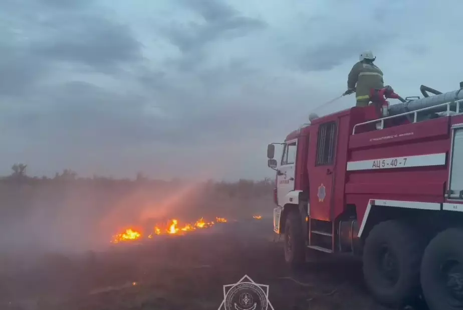 Степной пожар вспыхнул в Костанайской области