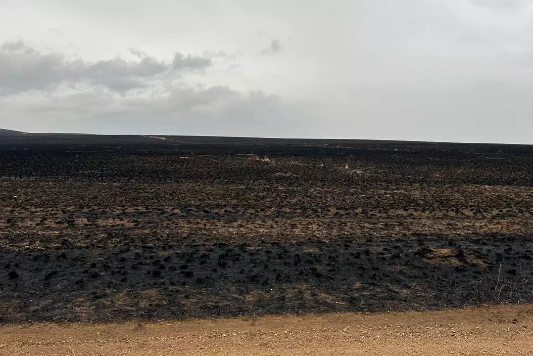 Они тушили пожар в Карагандинской области