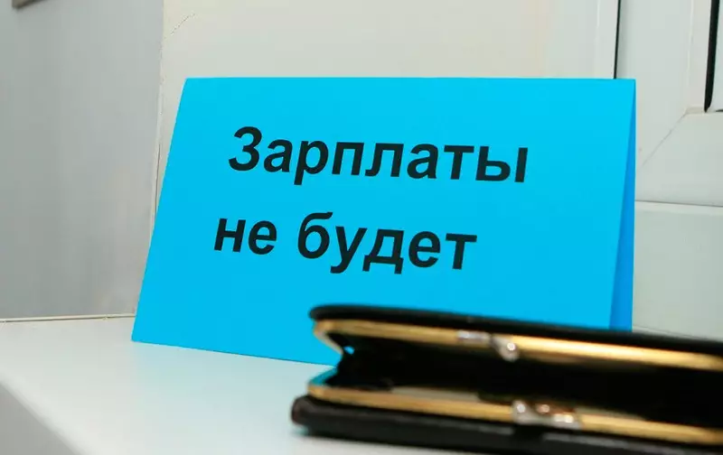 Долги по зарплате станут причиной недопуска работодателя к госзакупкам в Казахстане – КГД