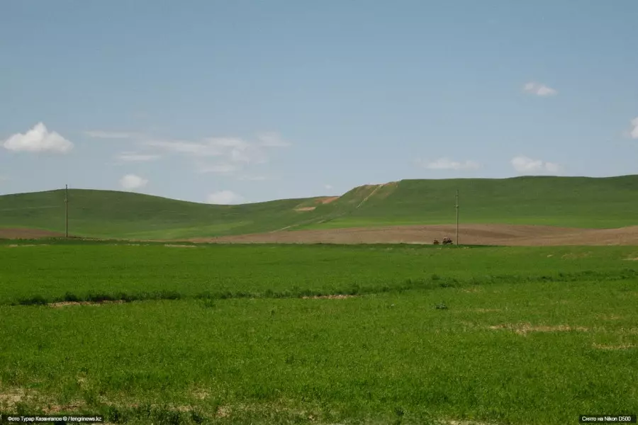 Павлодар облысында заңсыз жер салығының күші жойылды