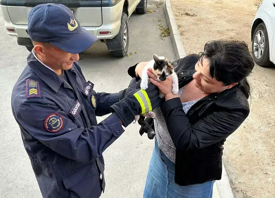 Спасатели Актау с помощью автолестницы сняли котёнка с дерева