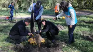 «Жарқын күз»: в роще Баума в Алматы прошла масштабная экоакция